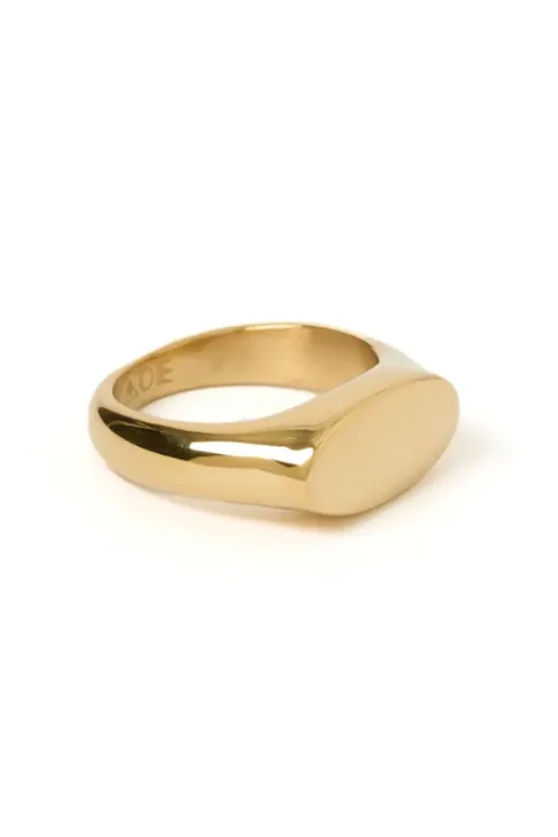Aster Gold Signet Ring