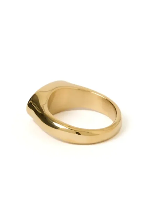 Aster Gold Signet Ring