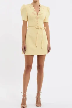 Lulu Short Sleeve Mini Dress Popcorn