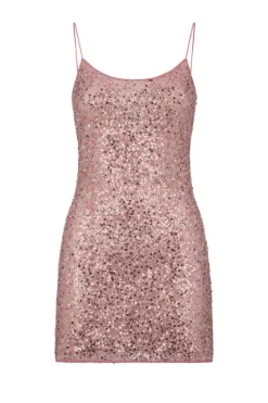 Netquins Short Dress Old Rose