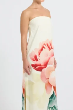 Nostalgia Strapless Maxi Multi